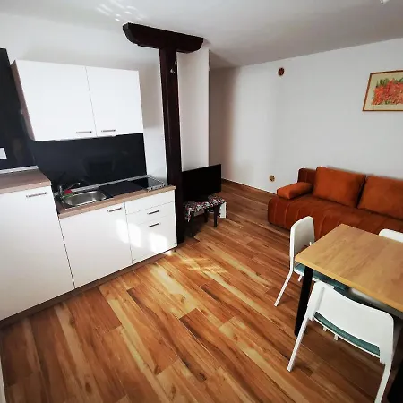 With Garden In The City Center Apartment Pula