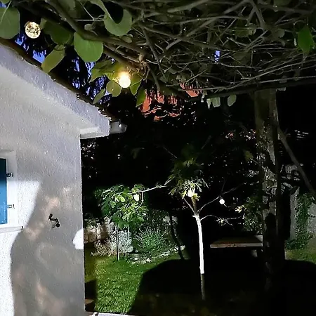 With Garden In The City Center